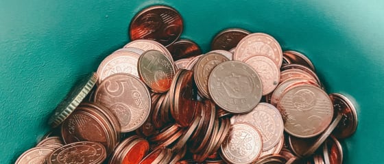 Pravidla bonusu pro mobilní kasino bez vkladu