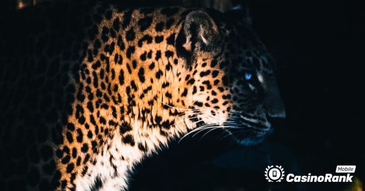 Yggdrasil Partners ReelPlay uvolní Jaguar SuperWays ze Bad Dinga